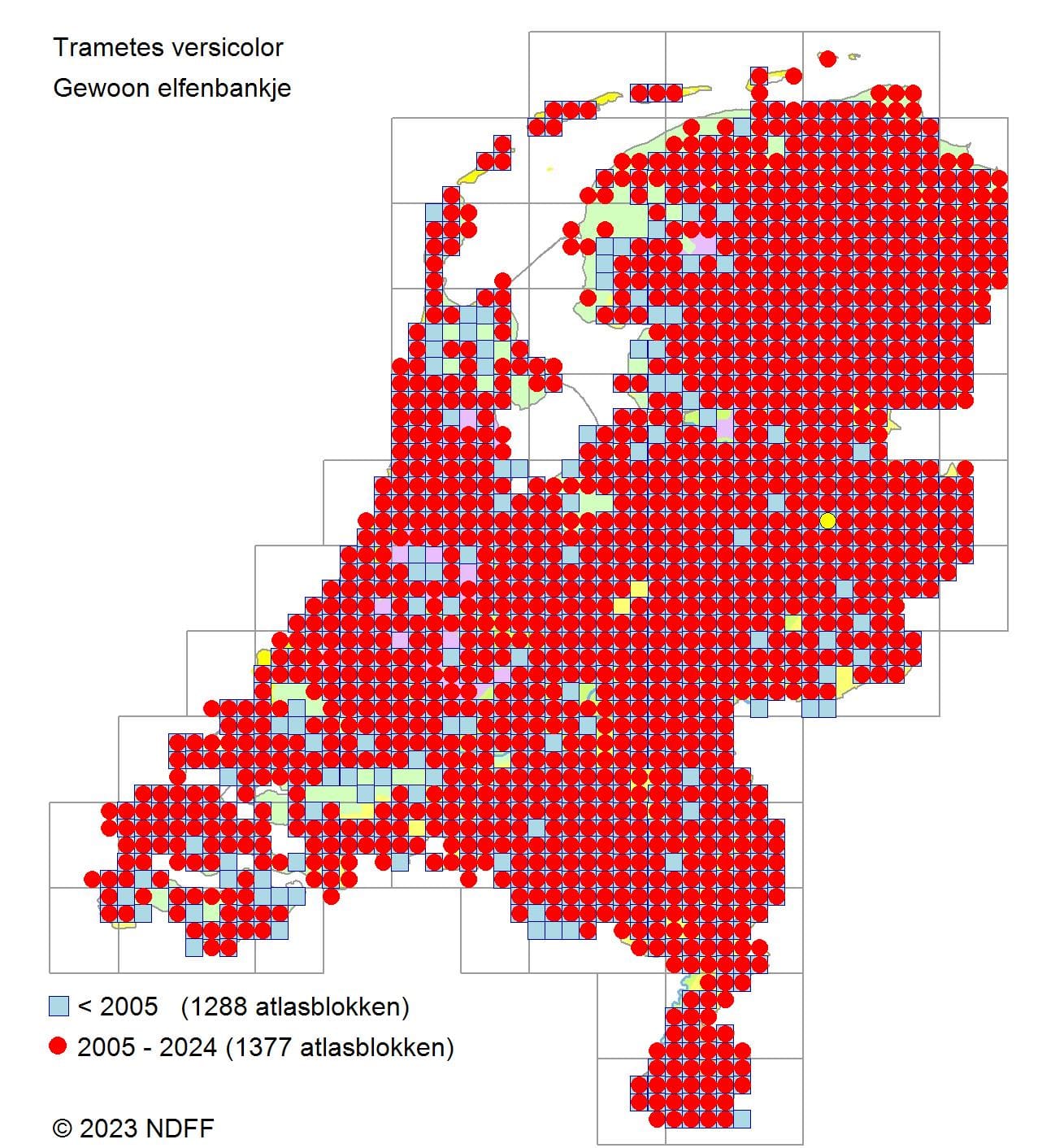gewoon elfenbankje
