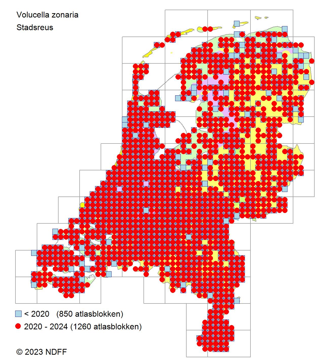 stadsreus