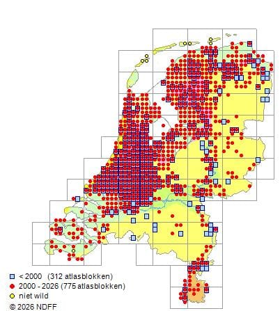 Verspreidingskaart van waarnemingen in Nederland per atlasblok