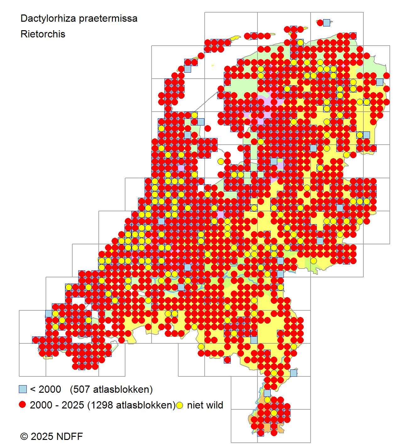 Verspreiding van Rietorchis in Nederland