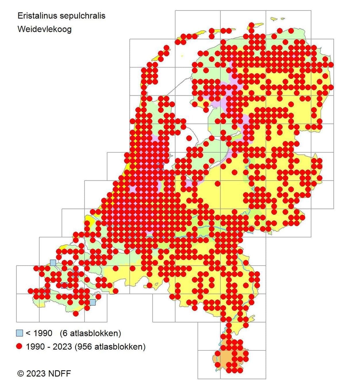 Weidevlekoog