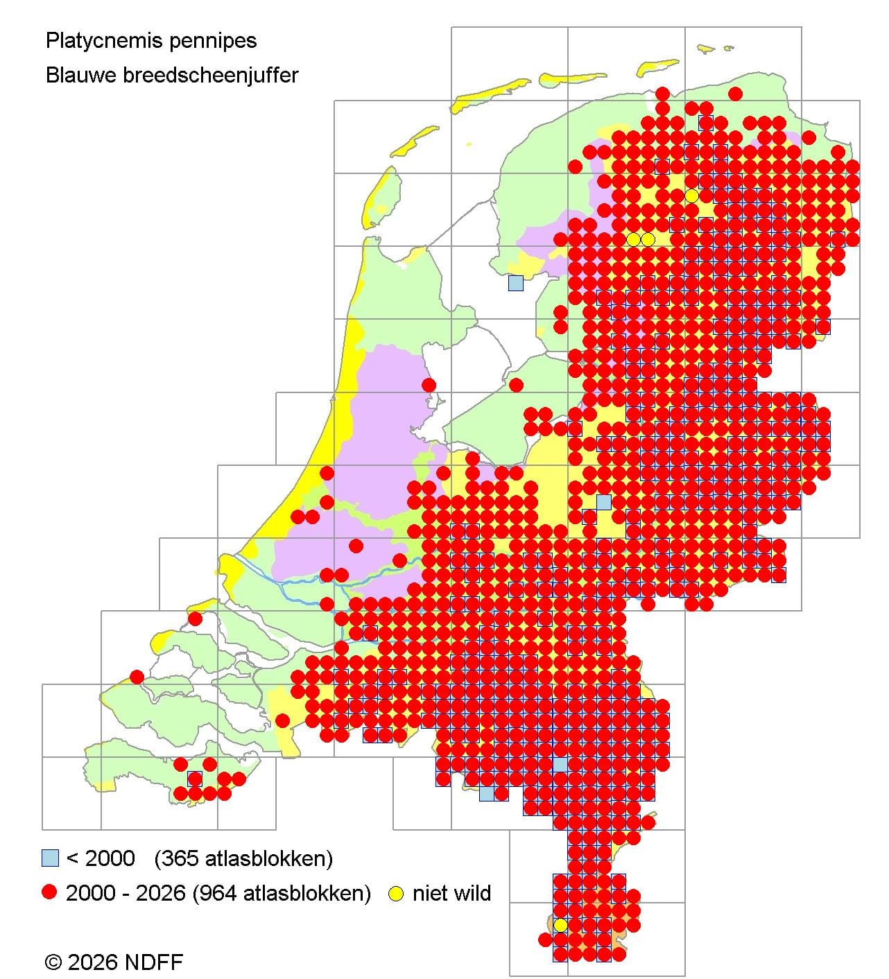 Verspreidingskaart blauwe breedscheenjuffer in Nederland
