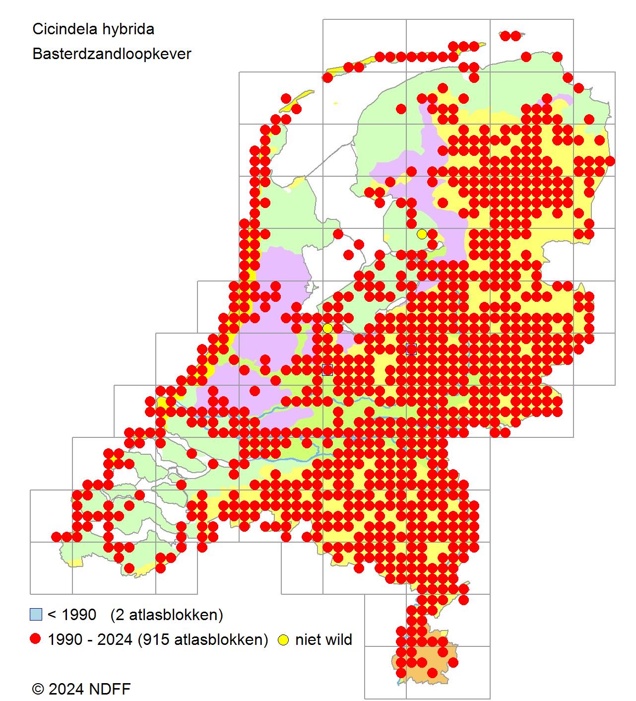 verspreidingskaart bastaardzandloopkever