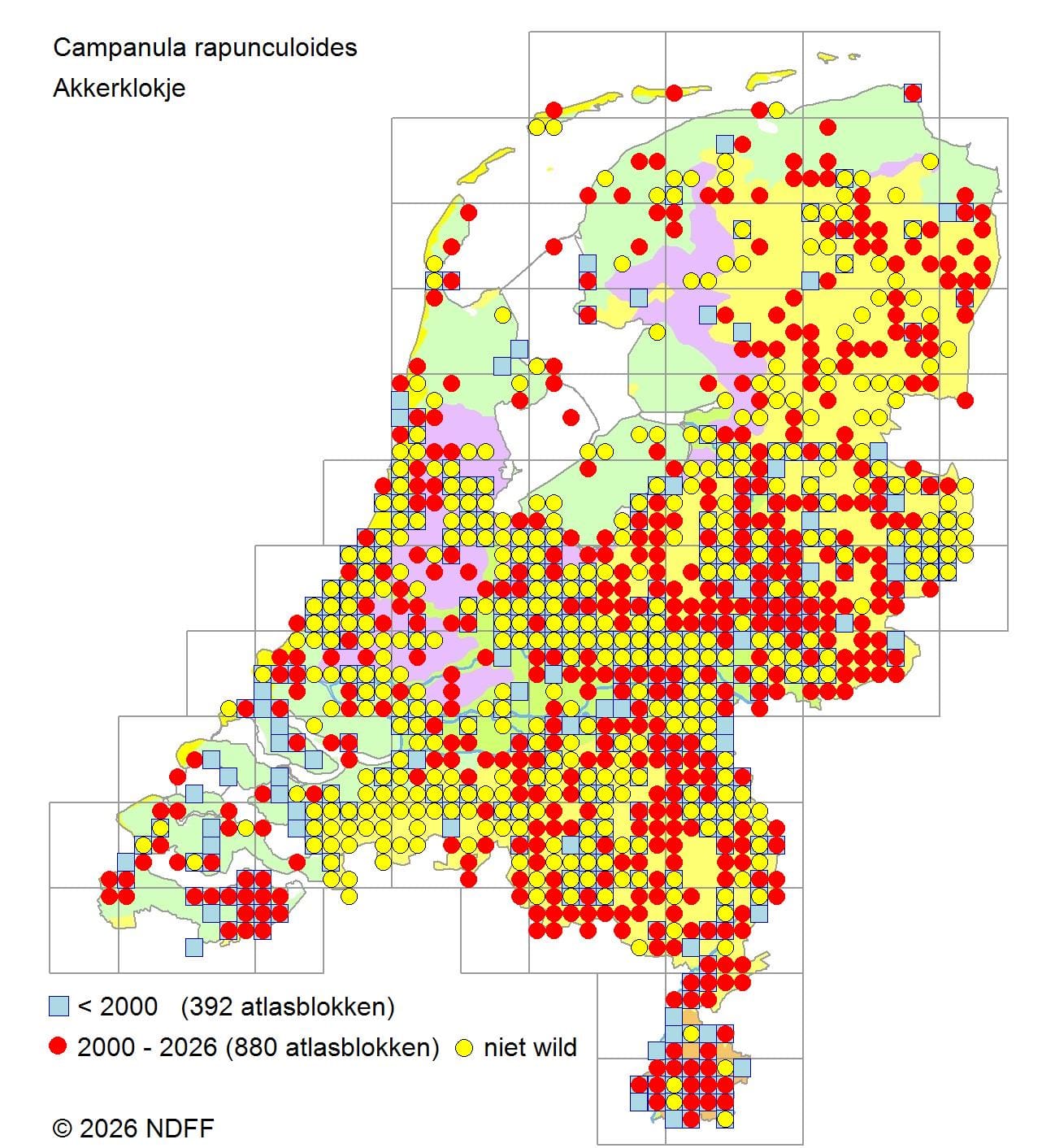 Verspreidingskaart van Akkerklokje in Nederland