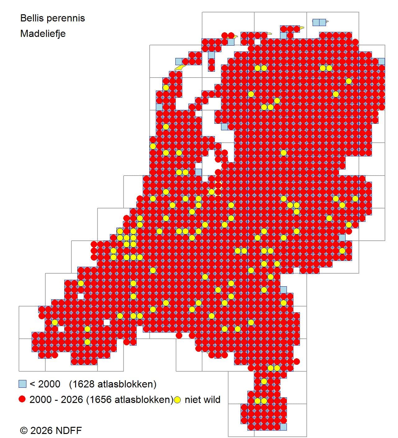 Verspreidingskaart van madeliefje in Nederland