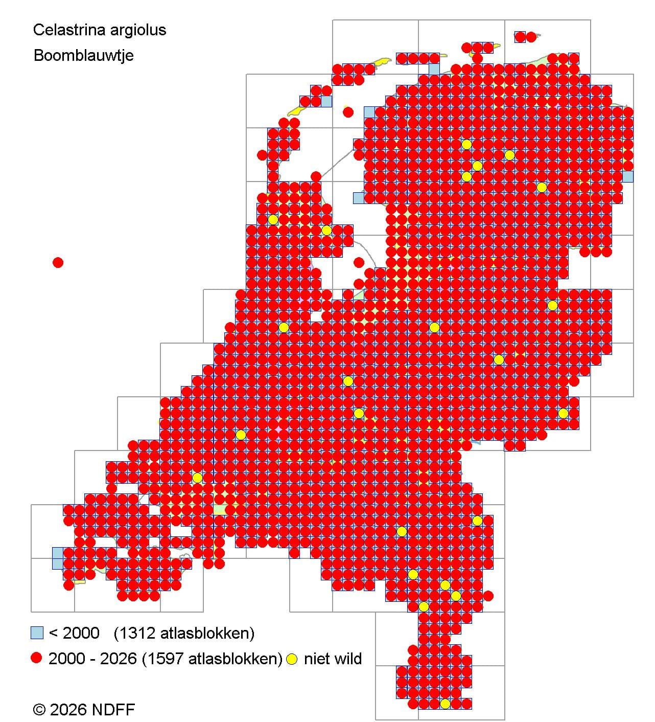 Verspreidingskaart Boomblauwtje in Nederland met atlasblokken
