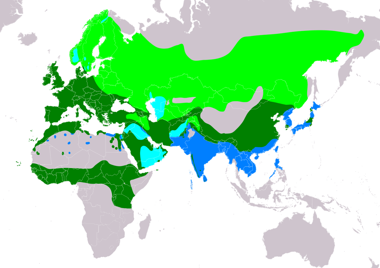 Kaart van Europa, Afrika en Azië met kleurzones