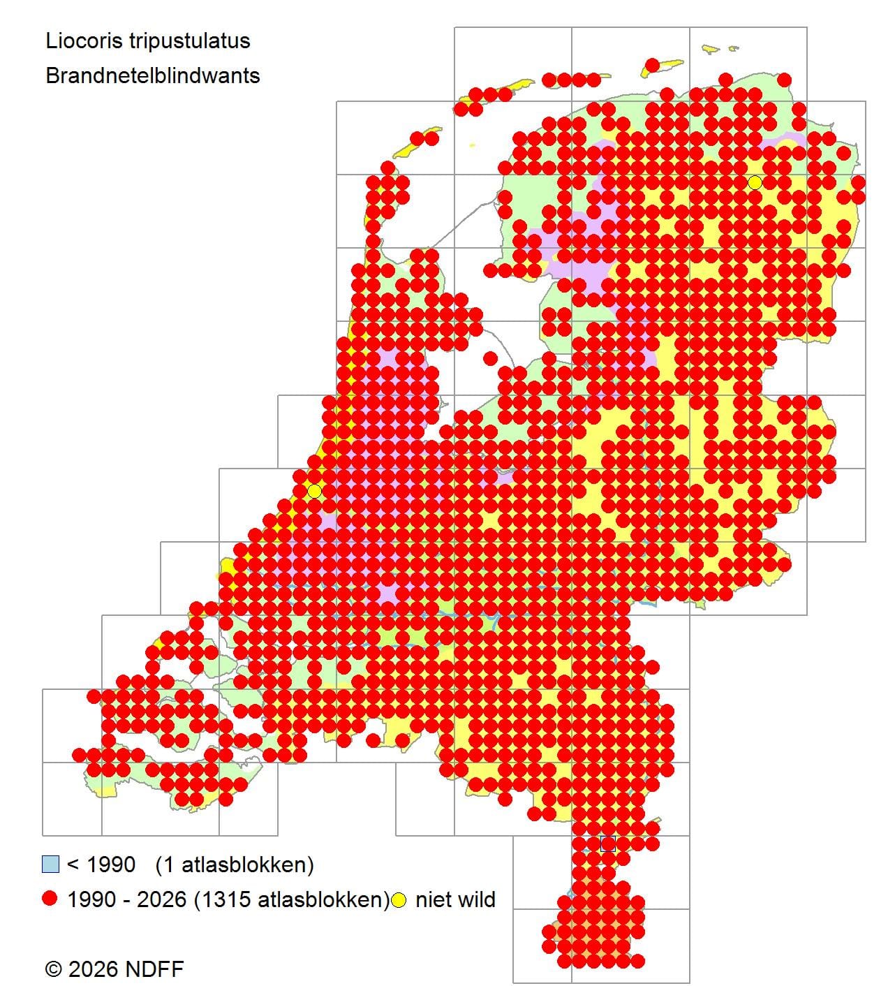 Verspreidingskaart van brandnetelblindwants in Nederland