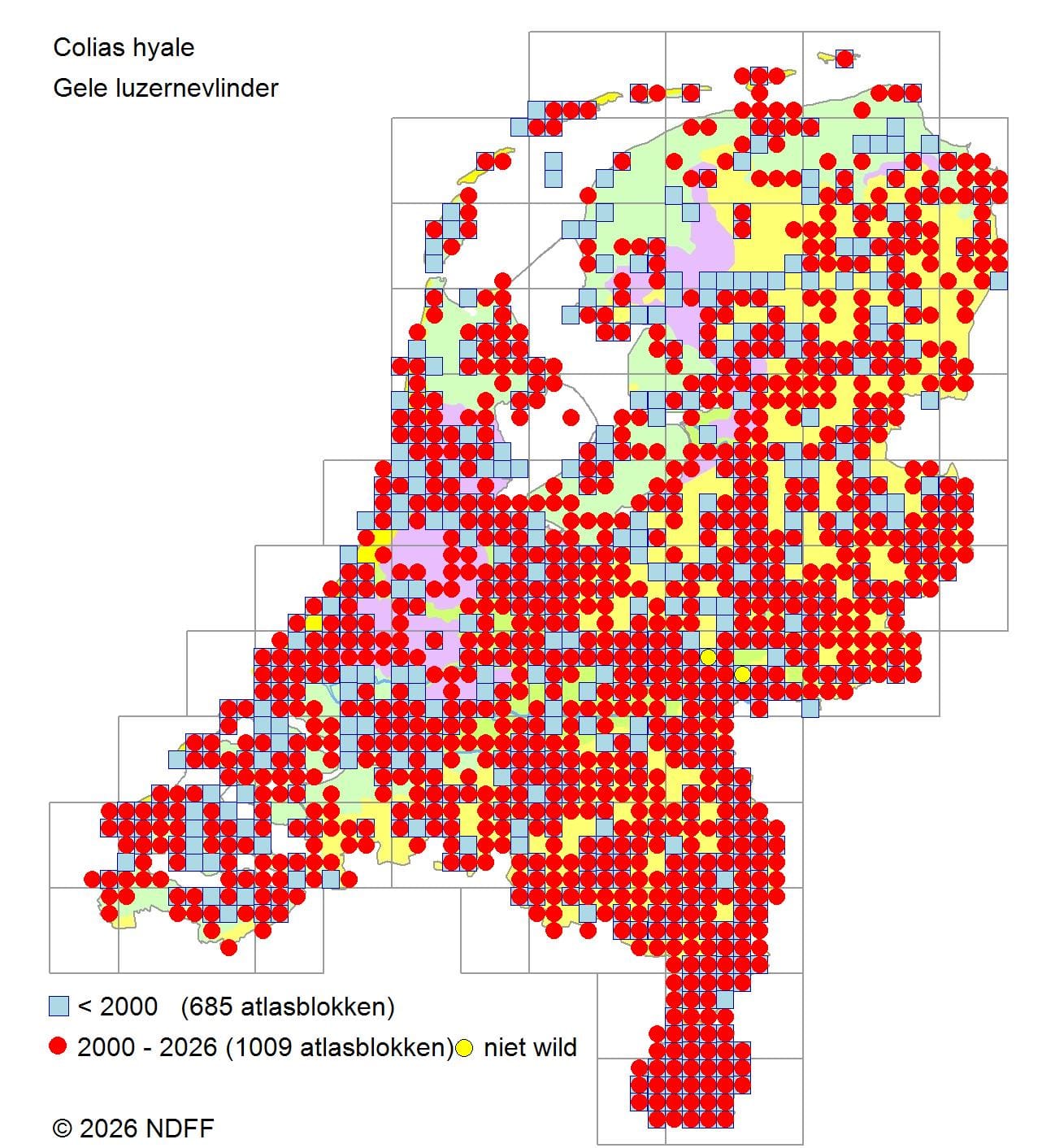 Verspreidingskaart van gele luzernevlinder in Nederland