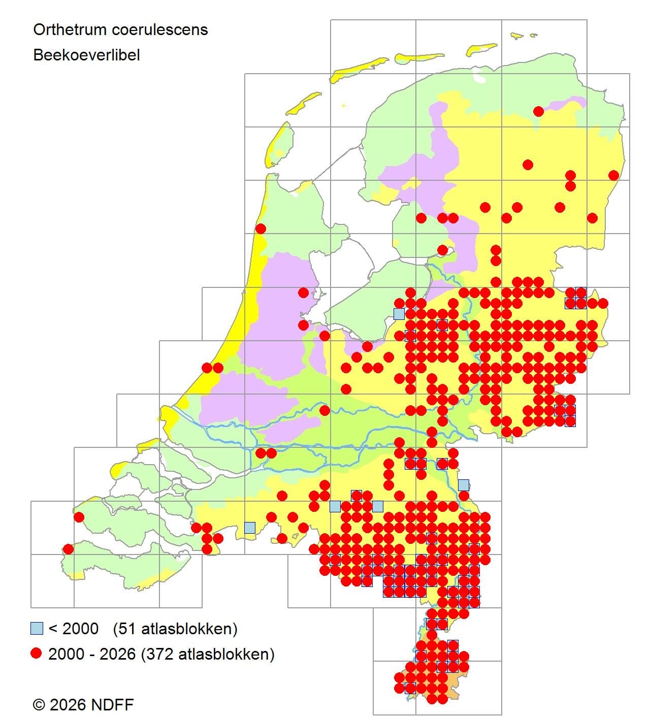 Verspreidingskaart van de beekoeverlibel in Nederland
