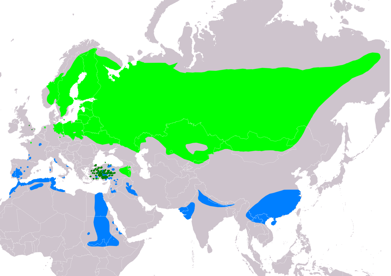 Verspreidingskaart van groene en blauwe gebieden in Eurazi&euml;