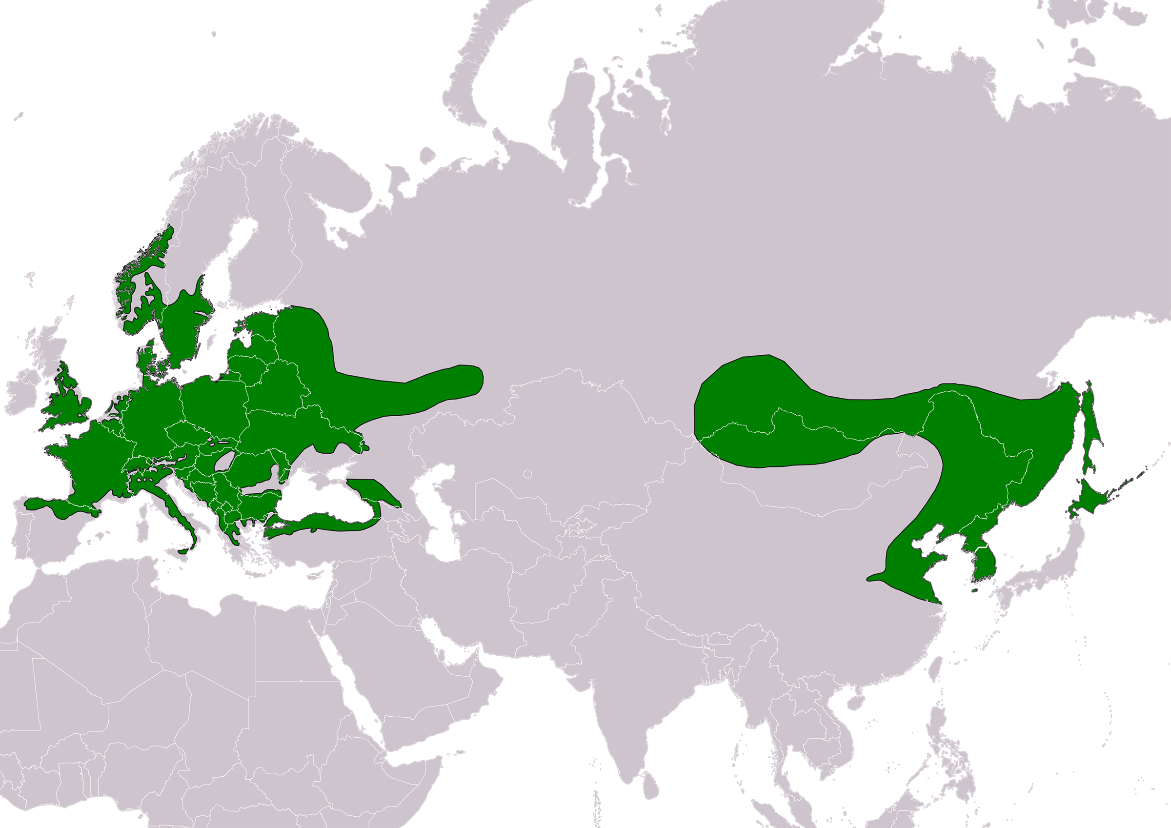 Kaart met groen gemarkeerd verspreidingsgebied in Eurazië